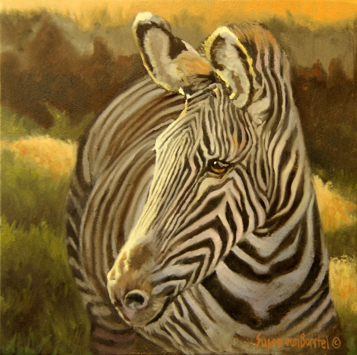 Zebra